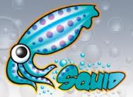 logo-squid-cache